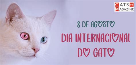 dia internacional do gato